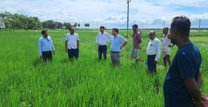 ताजपुर: चावल विकास निदेशालय के निदेशक ने धान की सीधी बुआई का किया निरीक्षण