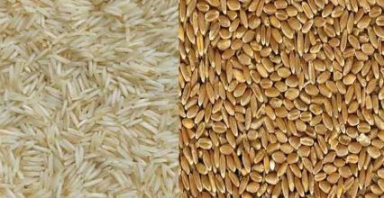 मूल्य नियंत्रण के लिए 3.46 लाख मीट्रिक टन गेहूं और 13,164 मीट्रिक टन चावल की बिक्री